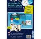 Fun Science Wuselnde Salzkrebse