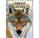 Lebensgroß - Tiere des Waldes