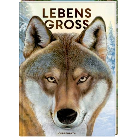 Lebensgroß - Tiere des Waldes