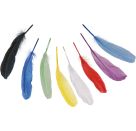 Gänsefedern20cm btSB8