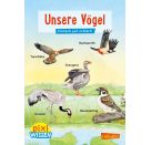Pixi Wissen 108: Unsere Vögel