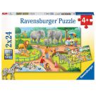 Ravensburger 7813 Puzzle Ein Tag im Zoo 2 X 24 Teile