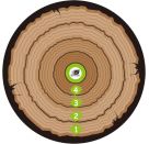 sunflex AXTWURFSPIEL