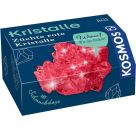 Rote Kristalle selbst züchten