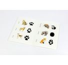 Wilden Tieren auf der Spur