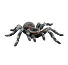 Bullyland Weißknie Vogelspinne, ab 3 Jahren.