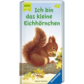 Ich bin das kleine Eichhörnchen