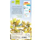 Ich bin das kleine Eichhörnchen