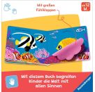 Wo bist du, kleiner Fisch?