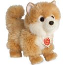 Teddy Hermann Zwergspitz, 22 cm
