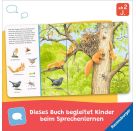 Sachen suchen: Tiere im Wald