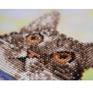 DIAMOND DOTZ Original Diamond Painting Hang in there 81 x 28 cm 9.425 Diamant Mosaiksteine Kreativset für Erwachsene u