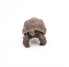 Papo 50161 Galápagos-Riesenschildkröte