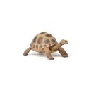 Papo 50264 Hermanns Schildkröte