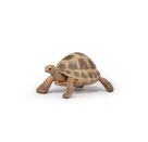 Papo 50264 Hermanns Schildkröte