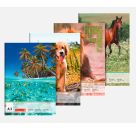 BRUNNEN 1047913  Zeichenblock