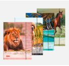 BRUNNEN 1047035  Sammelmappe