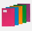 Sammelmappe A3 FACT! sort