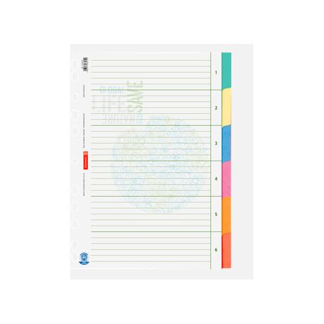 Ringbuchreg.A4 6tlg. Recyclin