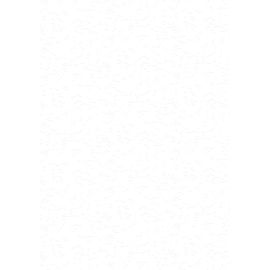 Prägekarton A4 Roma weiss 220