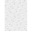 Transparentpapier A4 Fisch silber