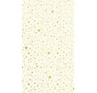 Karton A4 220g Sterne creme gold