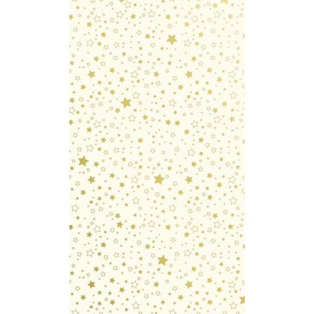 Karton A4 220g Sterne creme gold