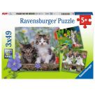 Ravensburger 8046 Puzzle Süße Samtpfötchen 3 X 49 Teile
