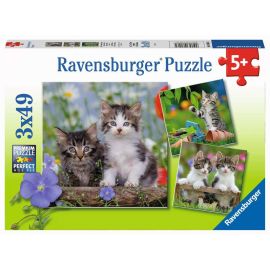 Ravensburger 8046 Puzzle Süße Samtpfötchen 3 X 49 Teile