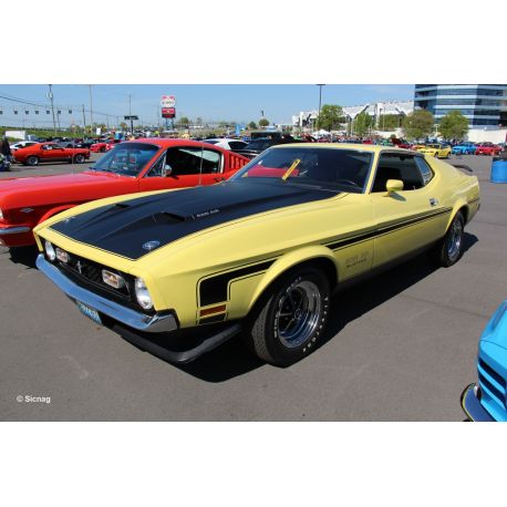 71 Ford Mustang Boss 351 , Revell Modellbausatz