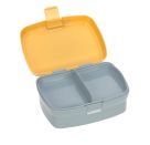 Lunch Set About Friends Lion