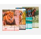 BRUNNEN 1047084  Sammelmappe