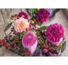 Schmidt Spiele Puzzle Blick ins Bergidyll, 1000 Teile