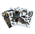 Jurassic World Dominion - Giganotosaurus, Revell 3D Puzzle