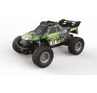 df models - Mountain Race Champ Truck 1:18