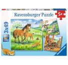 Ravensburger 8029 Puzzle Kuschelzeit 3 X 49 Teile