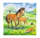 Ravensburger 8029 Puzzle Kuschelzeit 3 X 49 Teile