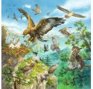 Ravensburger 8050 Puzzle Tiere in ihren Lebensräumen 3 X 49 Teile