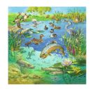 Ravensburger 8050 Puzzle Tiere in ihren Lebensräumen 3 X 49 Teile
