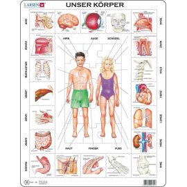 Puzzle Unser Körper 35 Teile