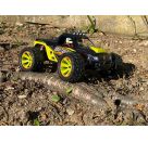 DF-06 Evolution 1:12 RTR Truc