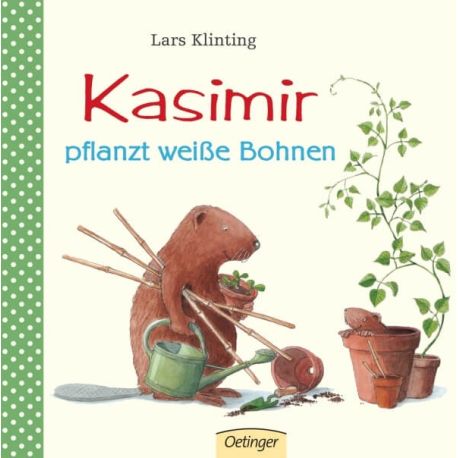 Kasimir pflanzt weisse Bohnen