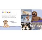 Hör mal rein, wer kann das sein? – Kleine Tiere im Schnee