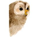 Nestwärmer - Die besten Mamas und Papas im Tierreich