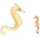 Nestwärmer - Die besten Mamas und Papas im Tierreich