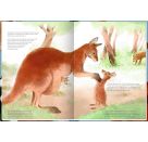 Nestwärmer - Die besten Mamas und Papas im Tierreich