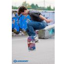 Schildkröt Skateboard Kicker 31 Abstract