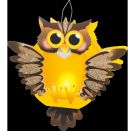 Laternenbastelset Eule