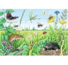 Ravensburger 5673 Puzzle Wieso? Weshalb? Warum? Tiere im Wald und auf der Wiese 2 X 12 Teile