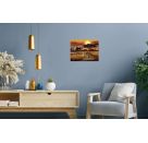 Ravensburger CreArt - Malen nach Zahlen 23548 – Savannenlandschaft – ab 14 Jahren